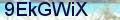 Validation code