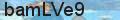 Validation code